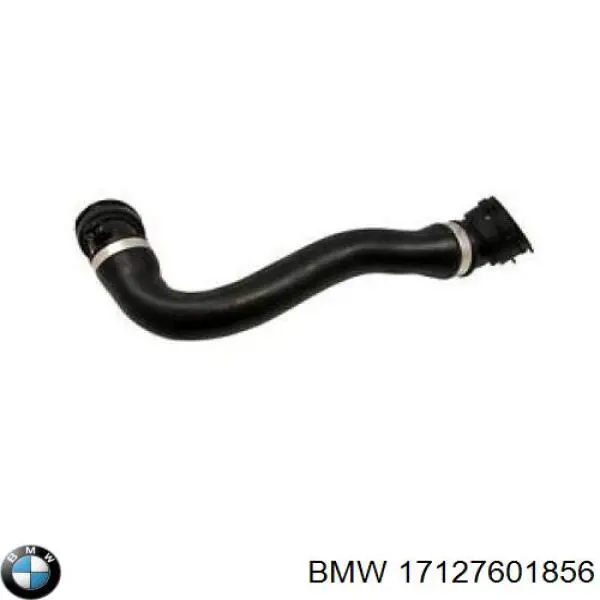 Mangueira (cano derivado) inferior do radiador de esfriamento para BMW X3 (F25)