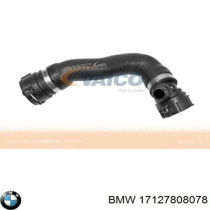 17127808078 BMW mangueira (cano derivado inferior do radiador de esfriamento)