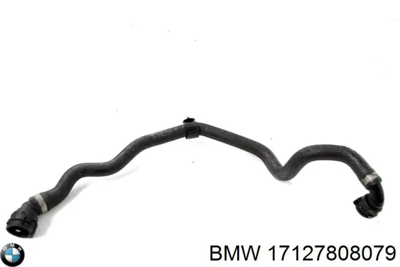  17127808079 BMW