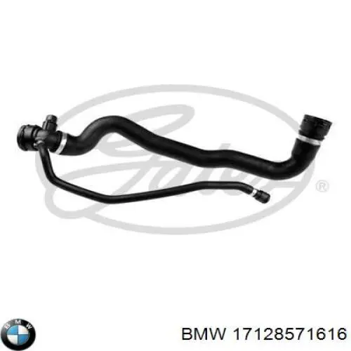 Купить 17128571616 BMW Патрубок радиатора