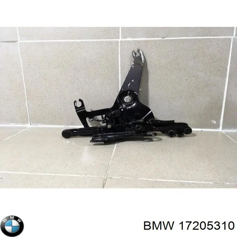 17205310 BMW turbina