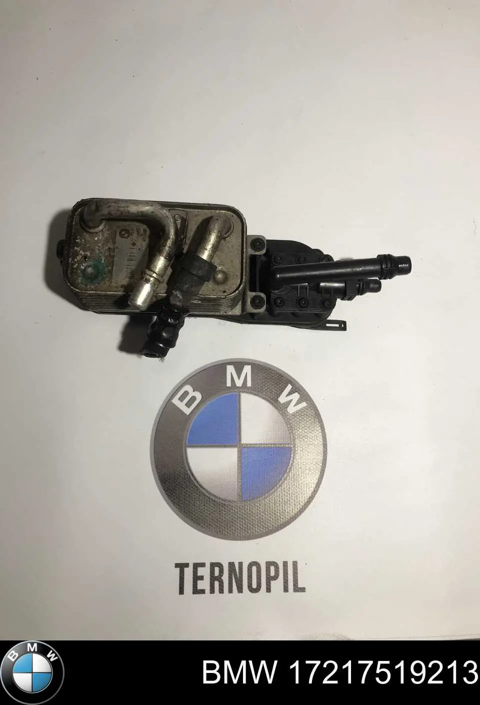 Радиатор масляный BMW 17217519213