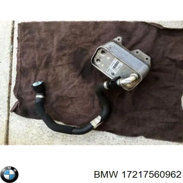  17217560962 BMW