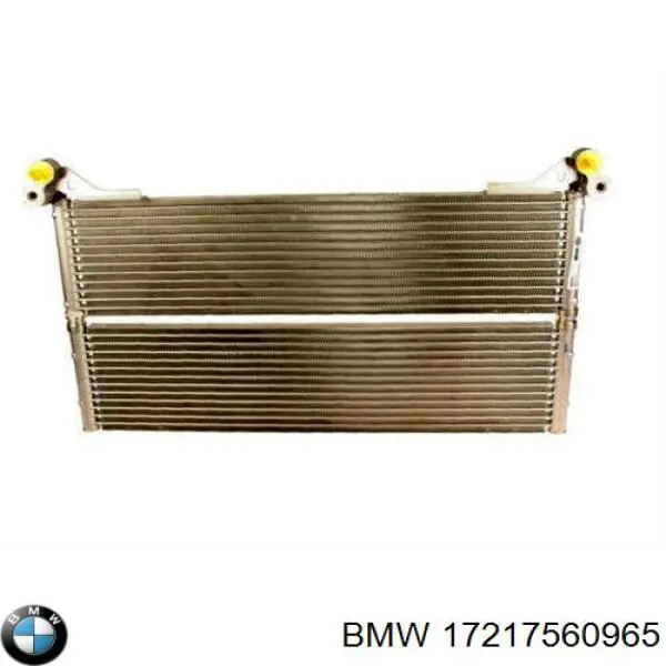  17217560965 BMW