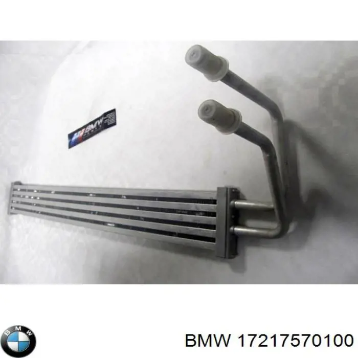 7570100 BMW Радиатор гидроусилителя