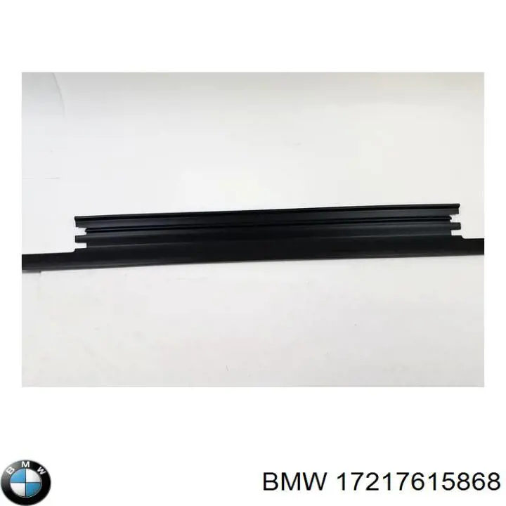  17217615868 BMW