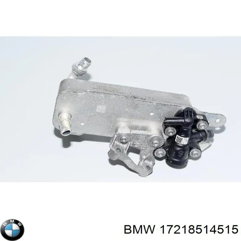 Radiador de esfriamento, Caixa Automática de Mudança para BMW 5 (G30, F90)