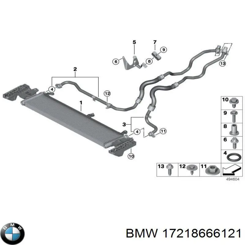 17218666121 BMW 