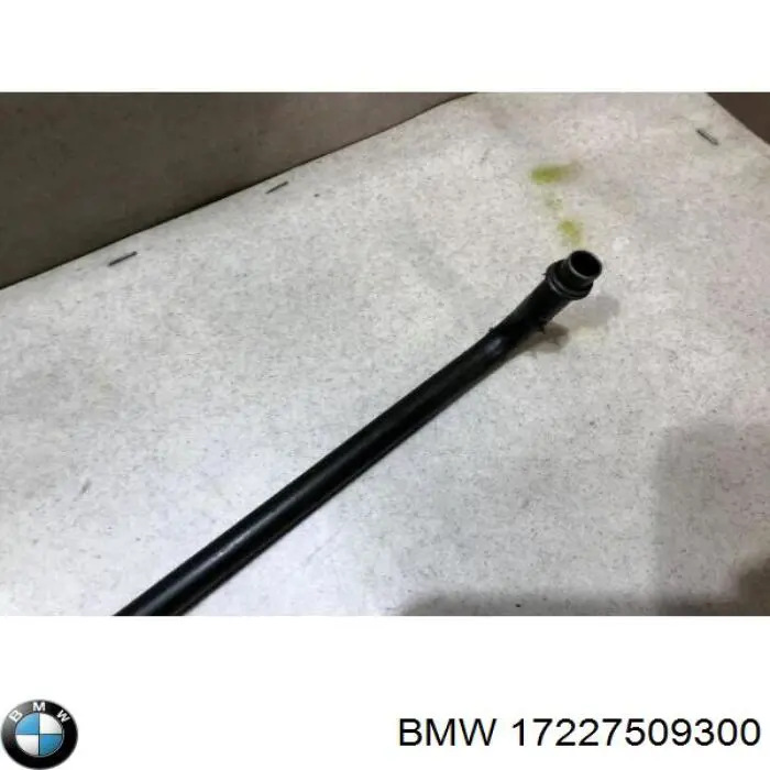  BMW 17227509300 цена, от 95.02 USD