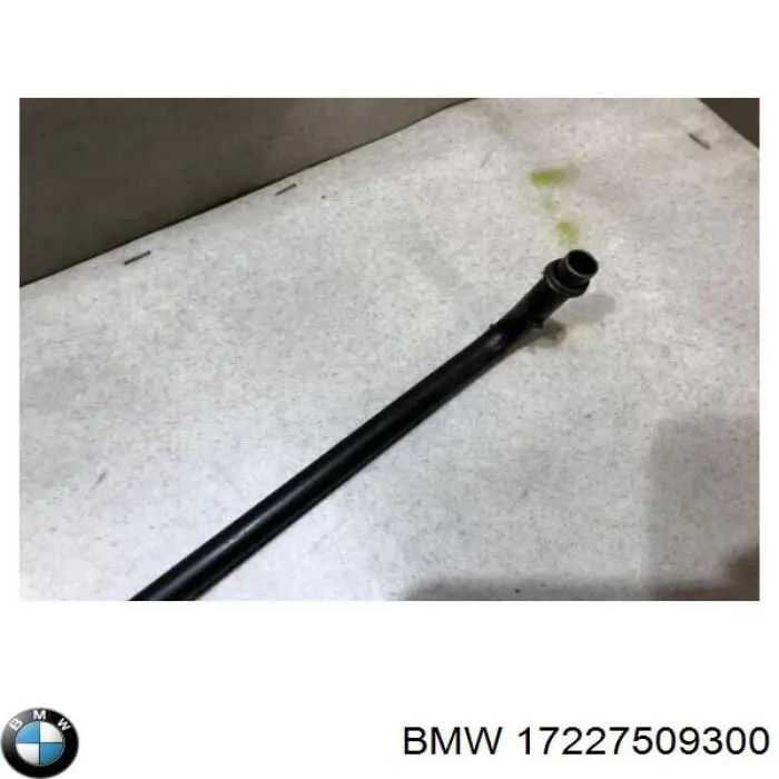 17227509300 BMW