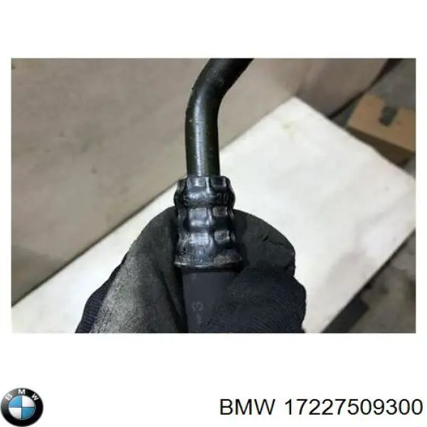  17227509300 BMW