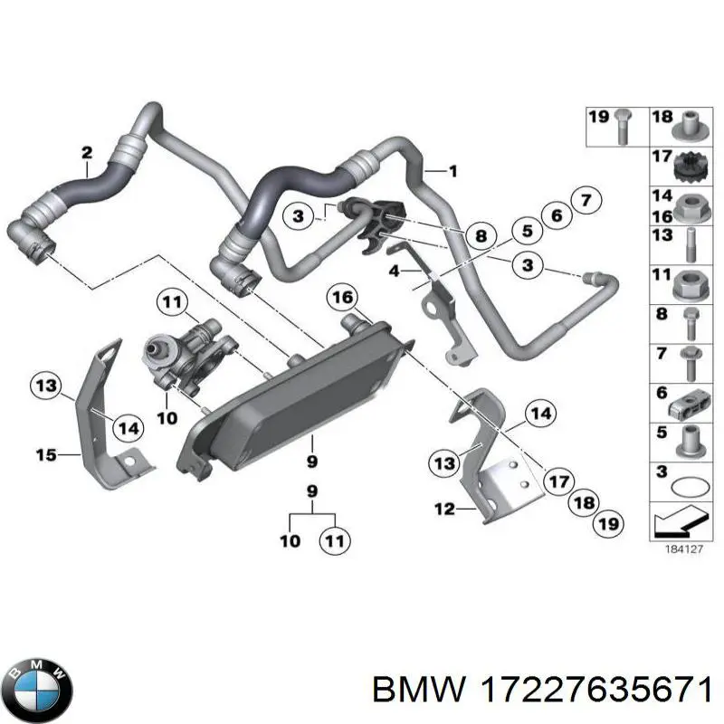 17227635671 BMW tubo (mangueira do radiador de óleo, desde o bloco até o radiador)