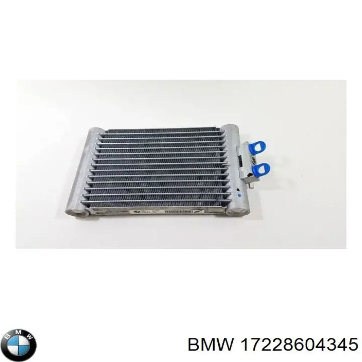 17228604345 BMW 