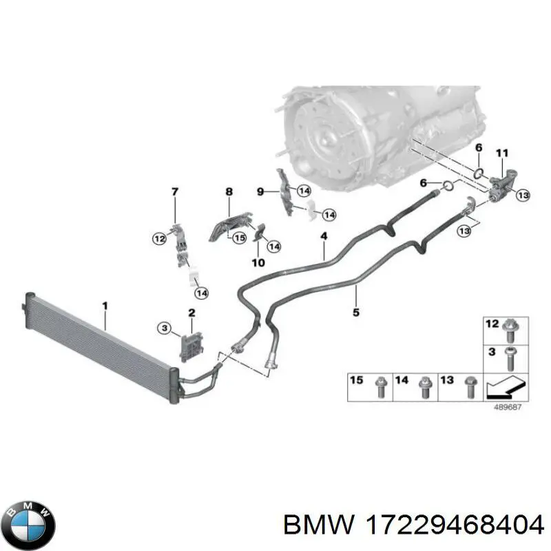 17229468404 BMW 