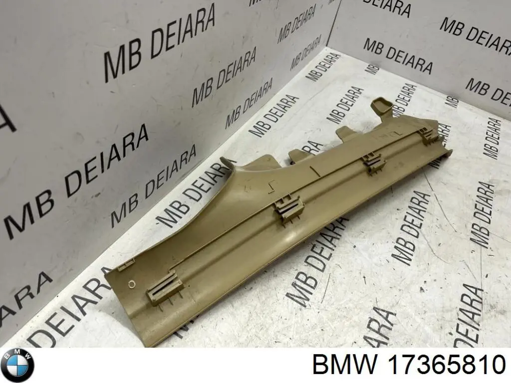  17365810 BMW