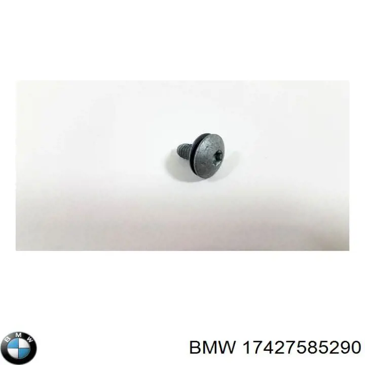  17427585290 BMW