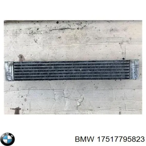 17517795823 BMW Охладитель наддувочного воздуха