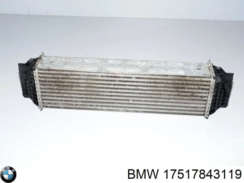 17517843119 BMW Охладитель наддувочного воздуха