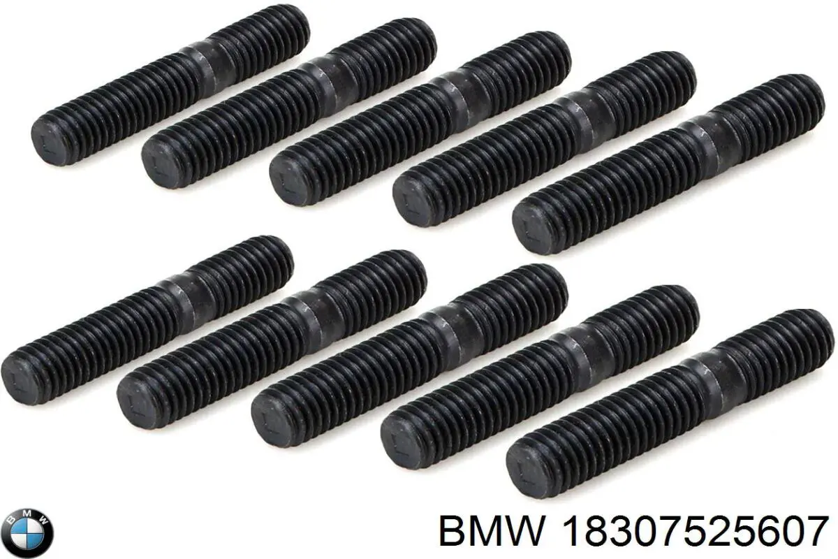  BMW 18307525607