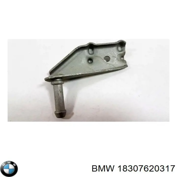 18307620317 BMW 