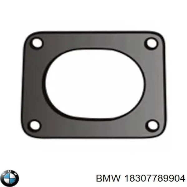 Прокладка сажевого фильтра передняя BMW 18307789904