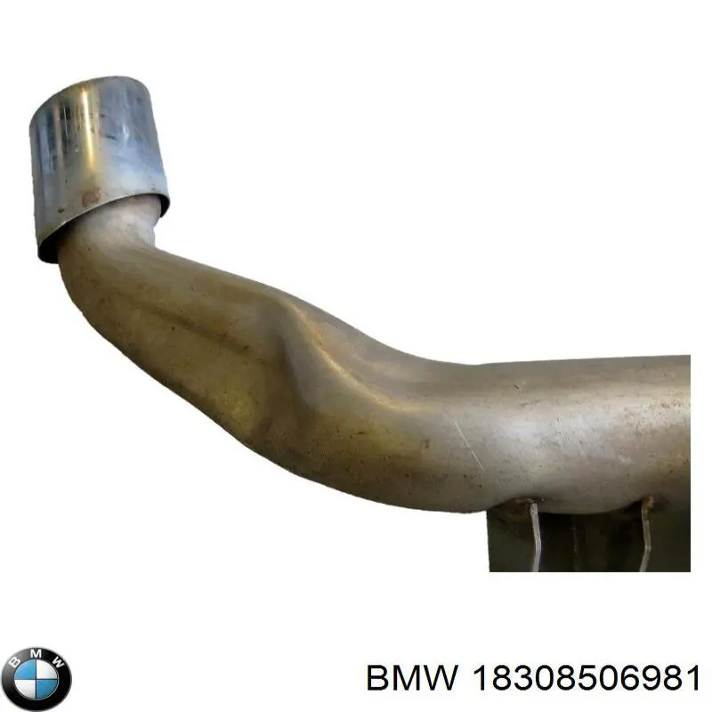 18308506981 BMW silenciador, parte traseira