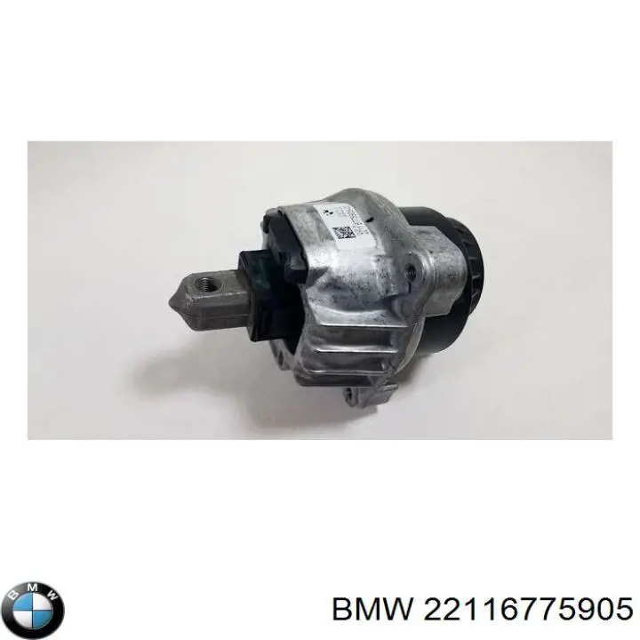 22116775905 BMW 