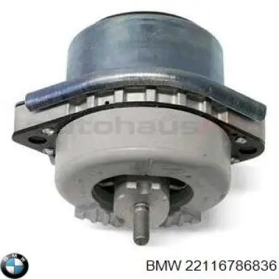 22116786836 BMW coxim (suporte direito de motor)