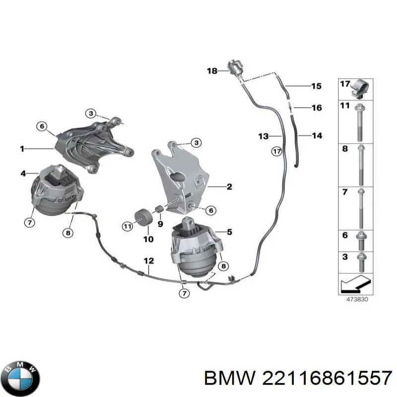 22116861557 BMW 