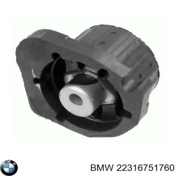 22316751760 BMW 