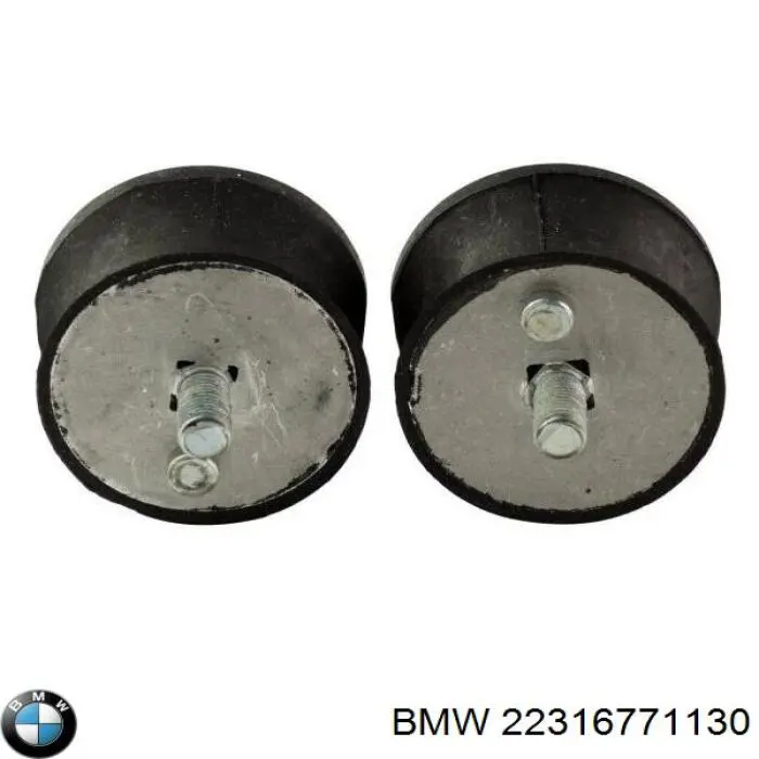 Montaje De Transmision (Montaje De Caja De Cambios) 22316771130 BMW