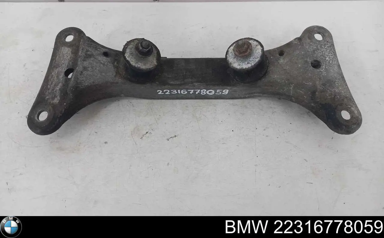 22316778059 BMW 