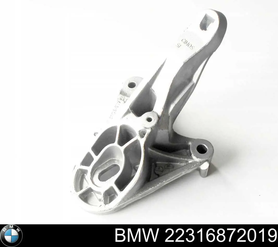  22316872019 BMW