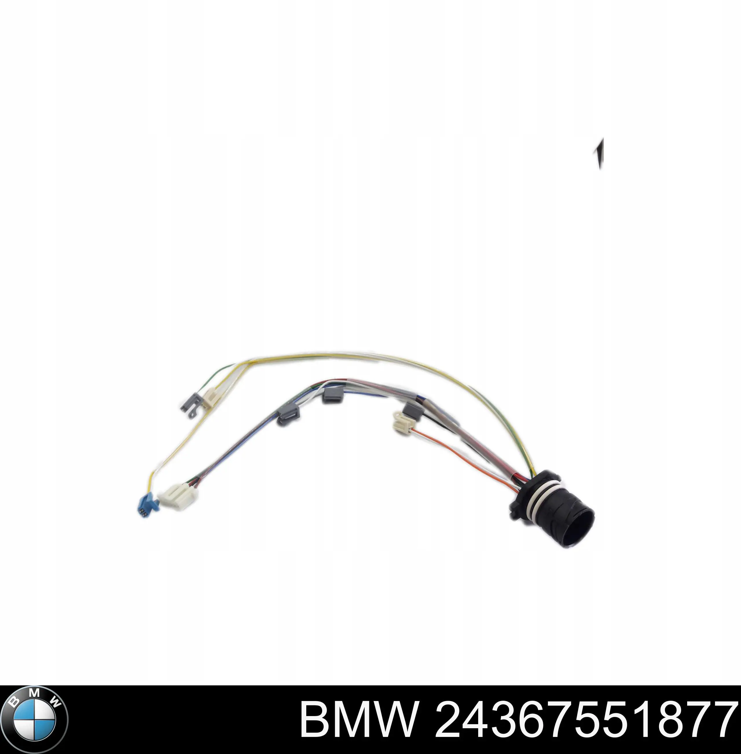  24367531976 BMW