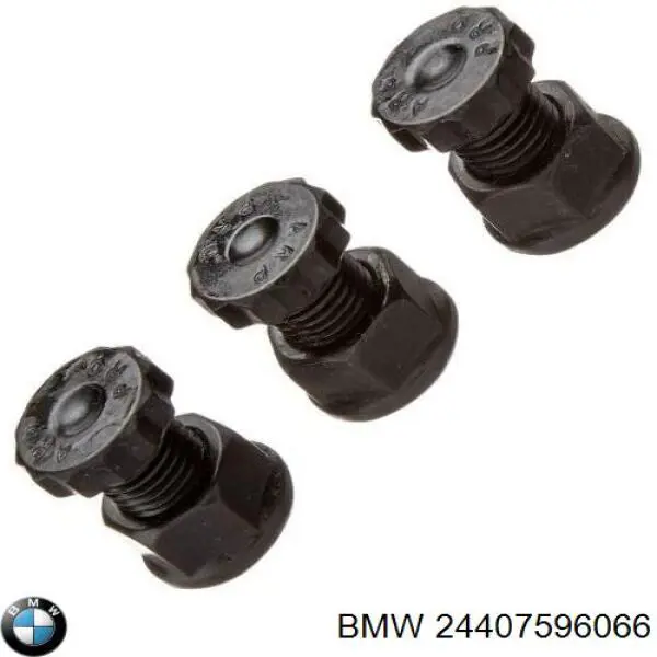  BMW 24407596066