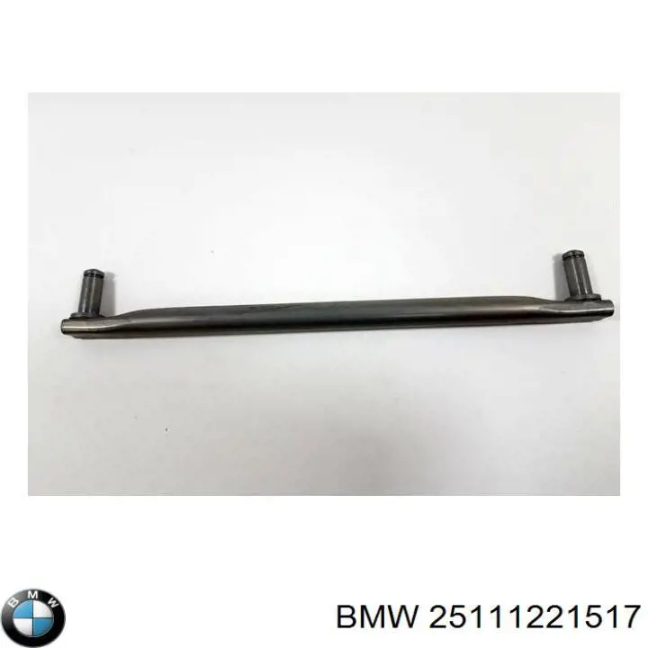 25111221517 BMW 