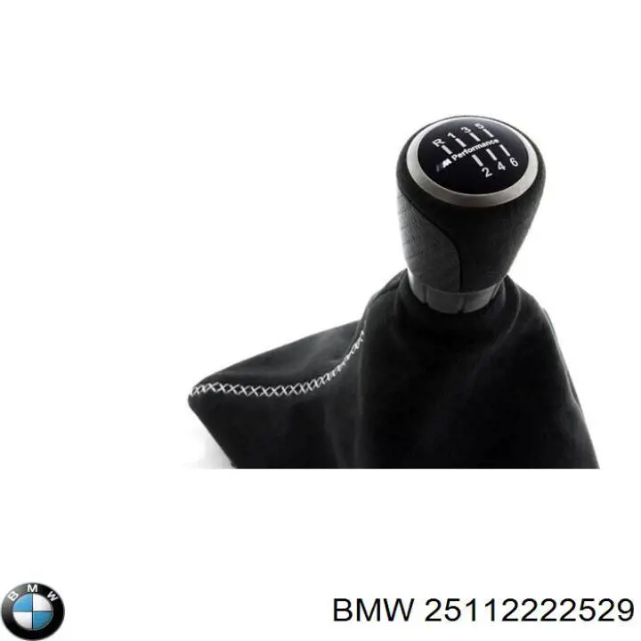  25112222529 BMW