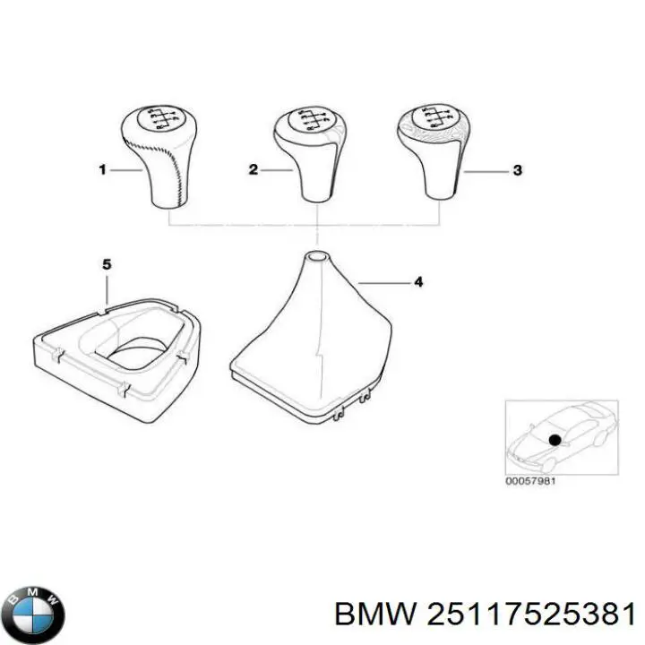  25117525381 BMW