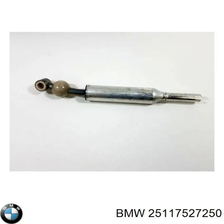 25117527250 BMW 