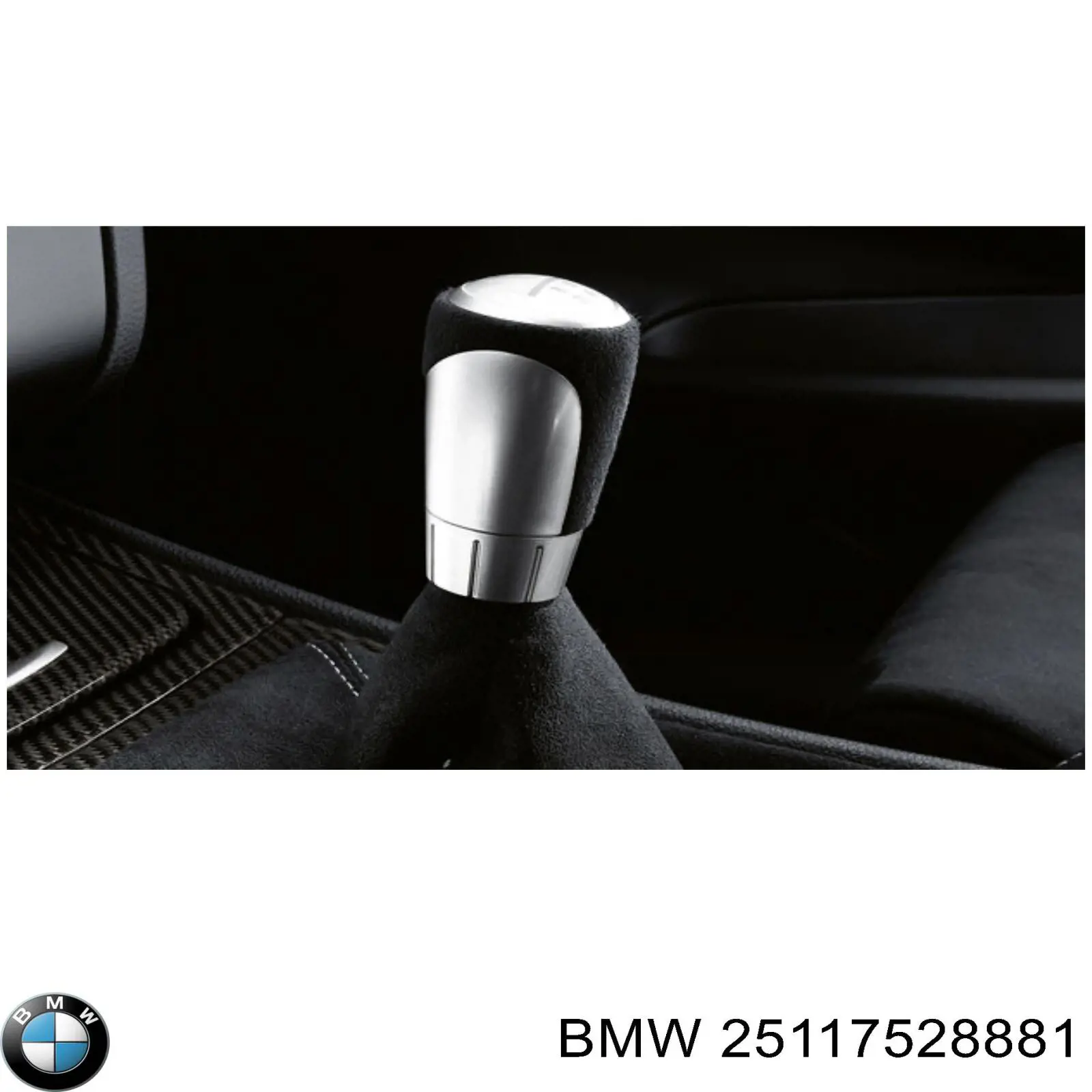 25117528881 BMW 