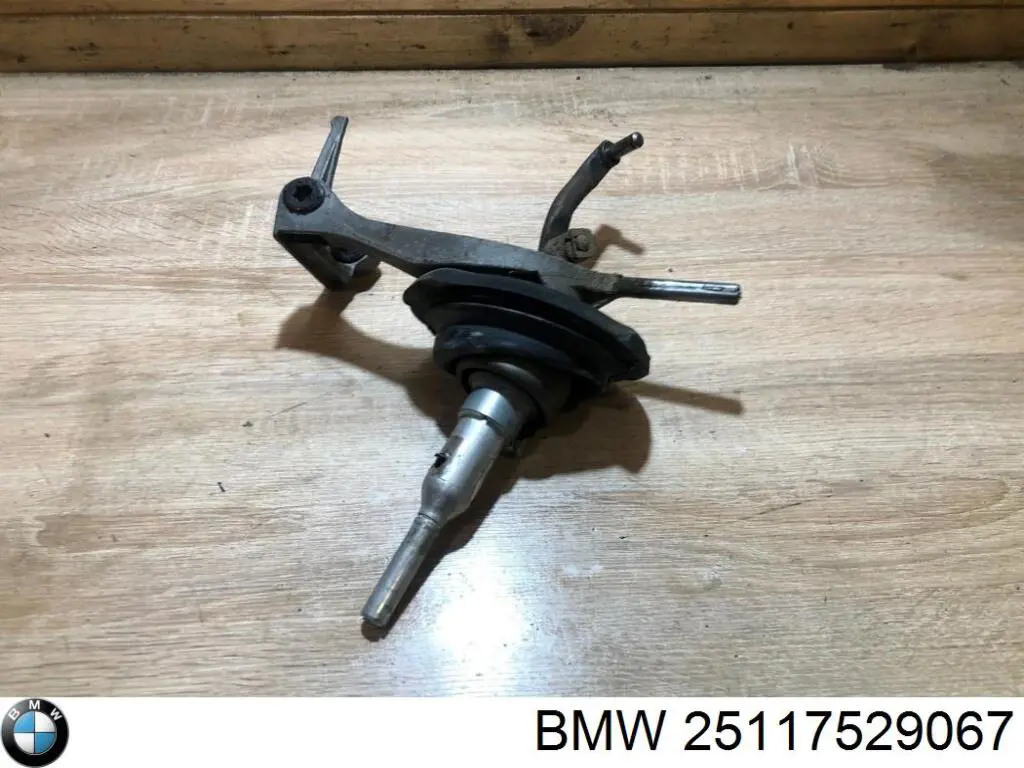 Купить 25117529067 BMW 