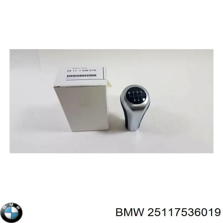  25117536019 BMW