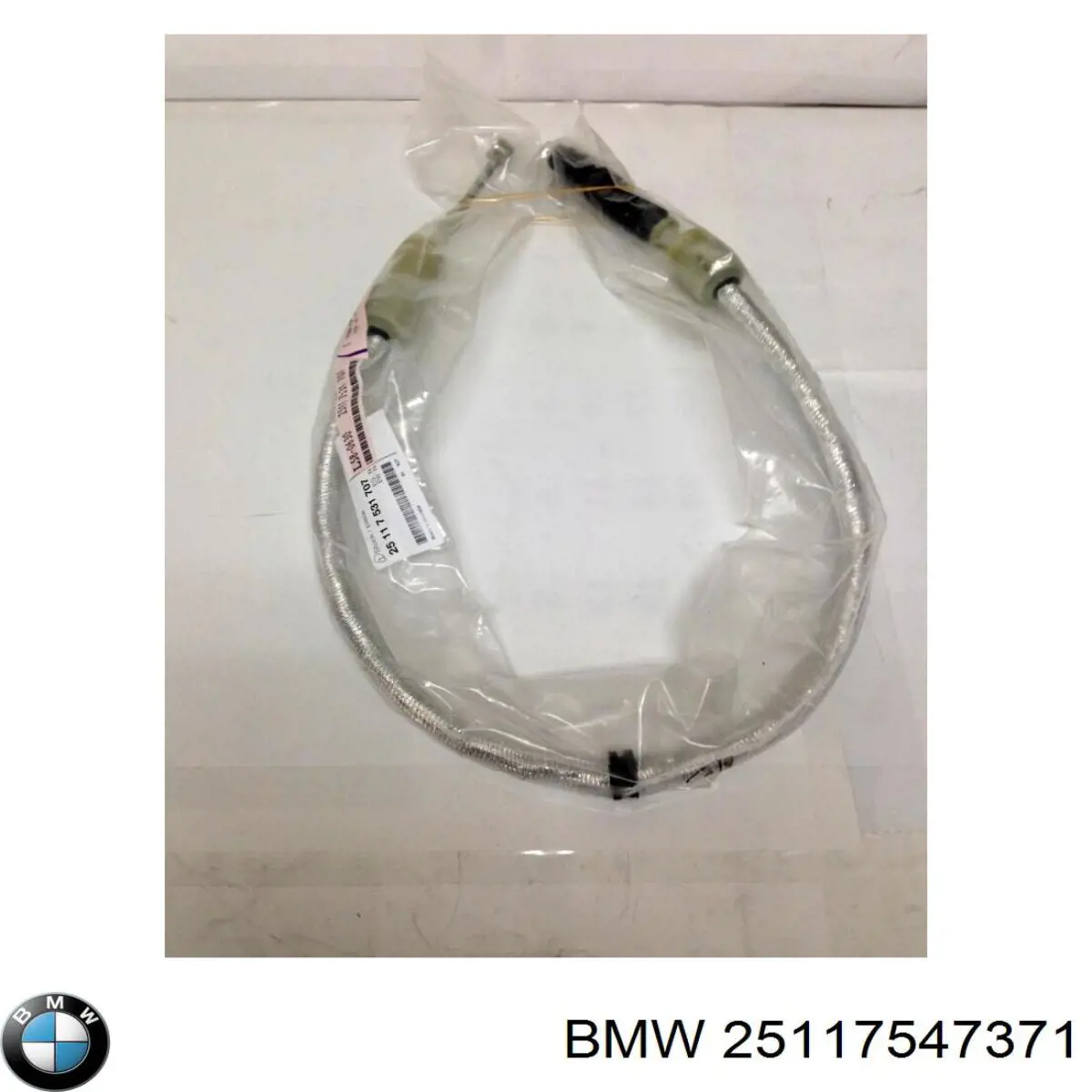 25117527264 BMW 