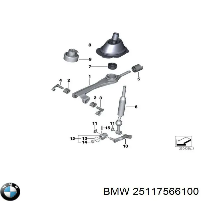  25117566100 BMW