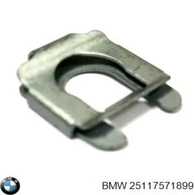  25117571899 BMW