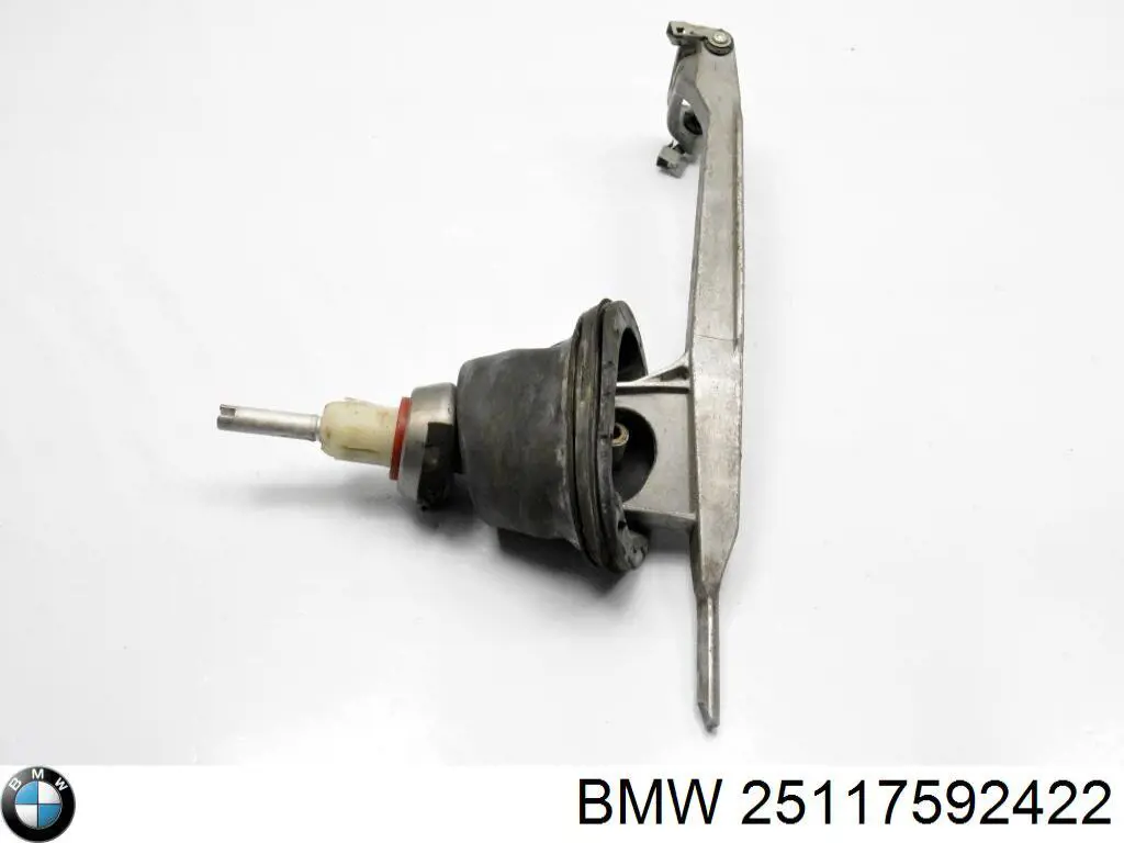  25117592422 BMW