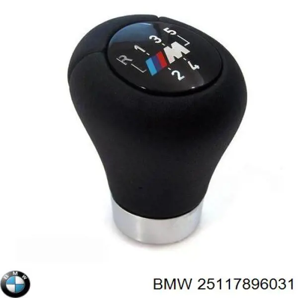 25117896031 BMW 