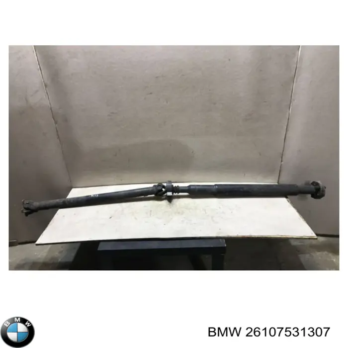 26107531307 BMW 