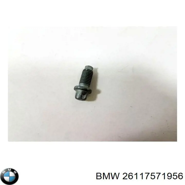 26117571956 BMW 