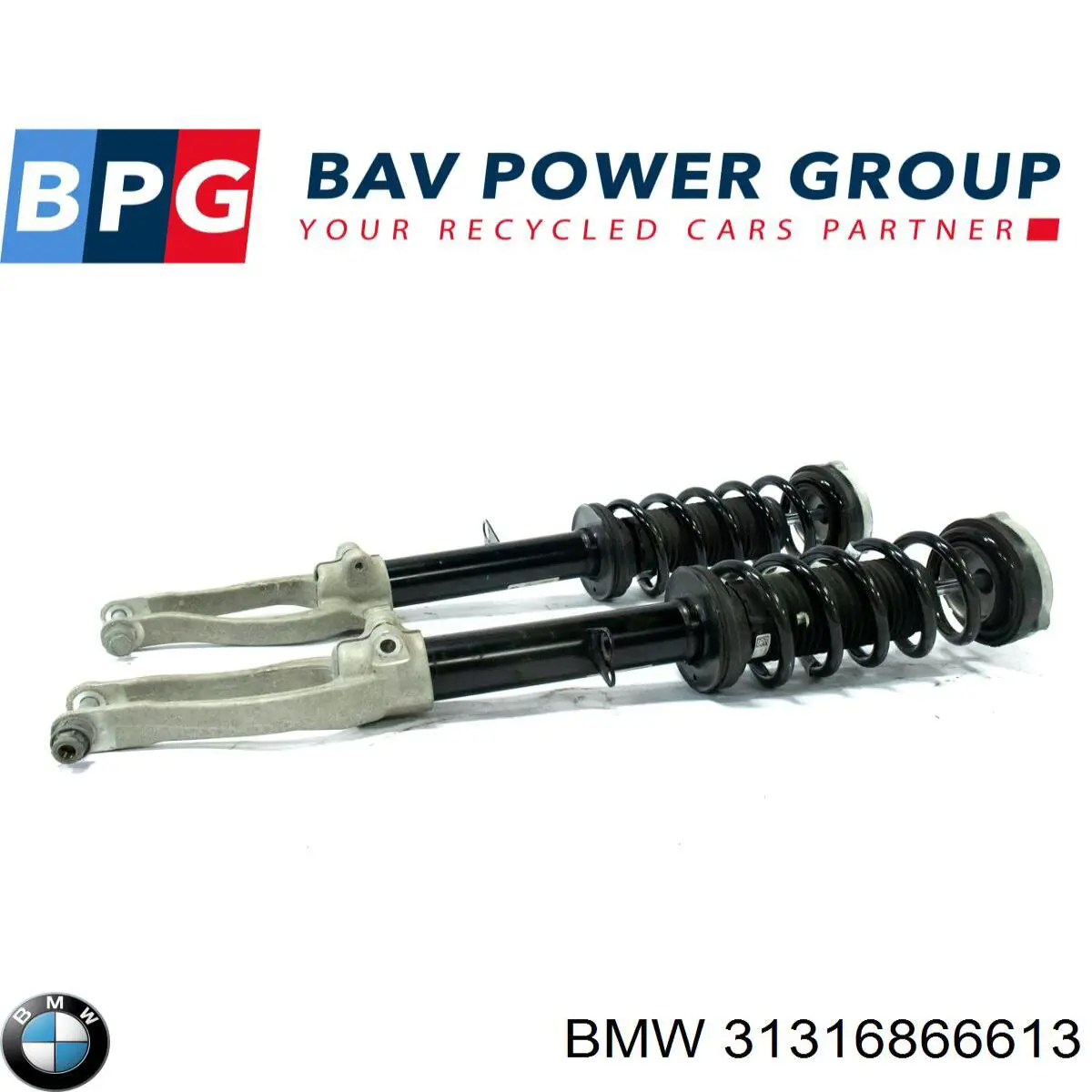 31316866613 BMW 